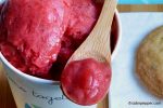 Sorbet fraise rhubarbe vanillé